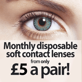 Monthly Disposable Soft Contact Lenses